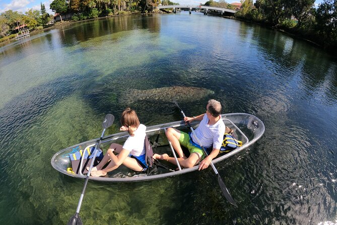 Clear Kayak Manatee Ecotour of Crystal River - Looking through the hull at Crystal River wildlife