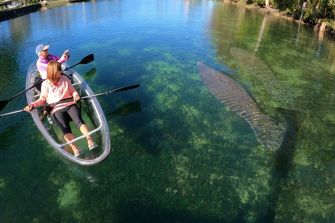 Clear Kayak Manatee Ecotour of Crystal River - Is $79 a fair price?