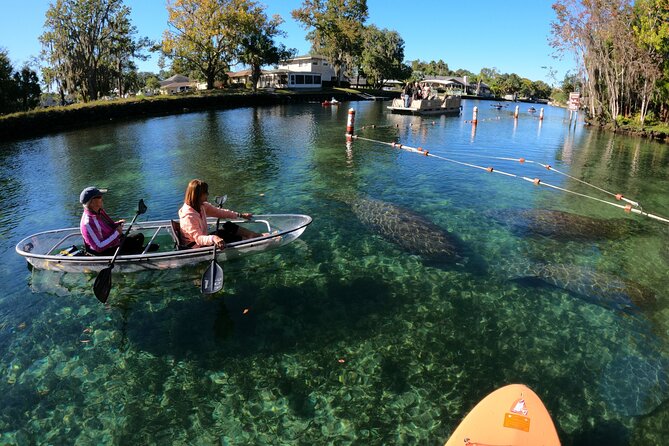 Clear Kayak Manatee Ecotour of Crystal River - Arrival, parking, and what to bring
