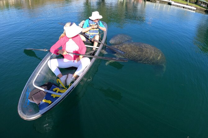 Clear Kayak Manatee Ecotour of Crystal River - Who should book this Crystal River kayak tour?