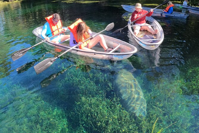 Clear Kayak Manatee Ecotour of Crystal River - Why tandem kayaks make this friendly for families