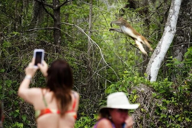 Clear Kayak or Paddleboard Manatee Adventure - Silver Springs is the reason to go
