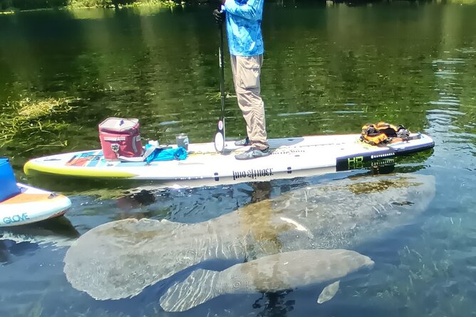 Clear Kayak or Paddleboard Manatee Adventure - The meeting point needs extra attention