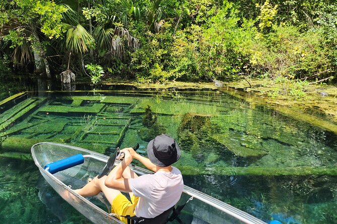 Clear Kayak or Paddleboard Manatee Adventure - The physical side of the trip