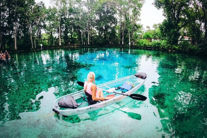 Clear Kayak Three Sisters Springs & Manatee Tour Of Crystal River - What wildlife you might actually see