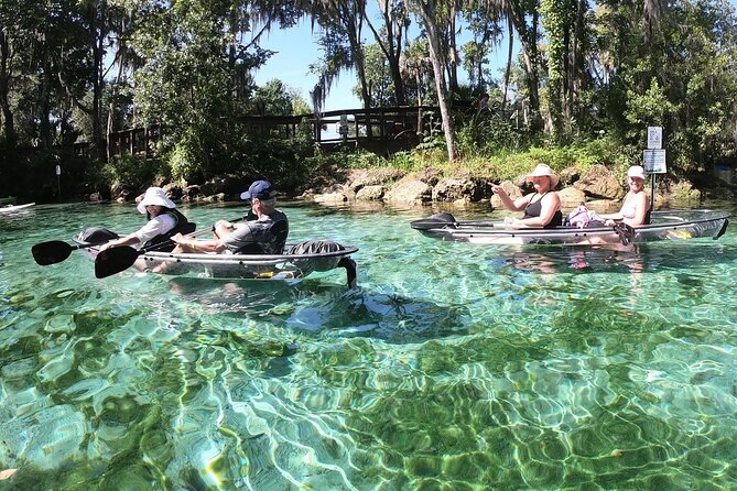 Clear Kayak Three Sisters Springs & Manatee Tour Of Crystal River - A small group with strong guides