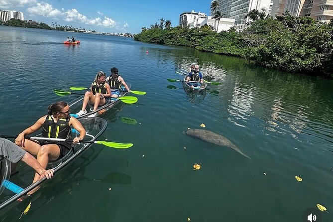 Clear Kayak Tour in Condado Lagoon - Starting at Condado Ocean Club before the crowds