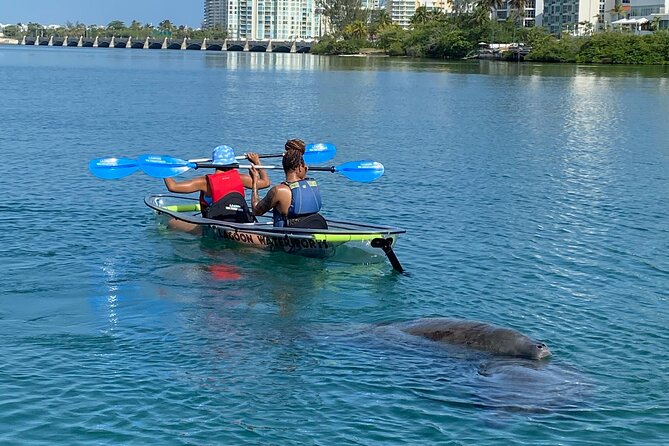 Clear Kayak Tour in Condado Lagoon - Watching for manatees, pelicans, and lagoon life