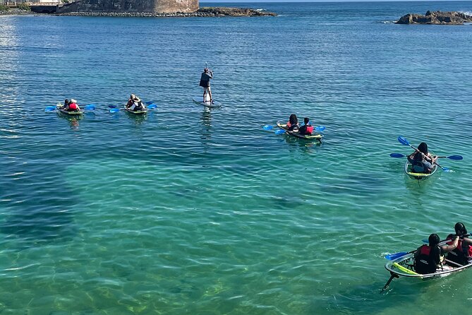 Clear Kayak Tour in Condado Lagoon - Photos, weather, and the practical side of the hour
