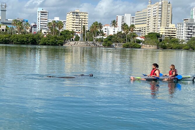 Clear Kayak Tour in Condado Lagoon - Is $59 a fair price for one hour?