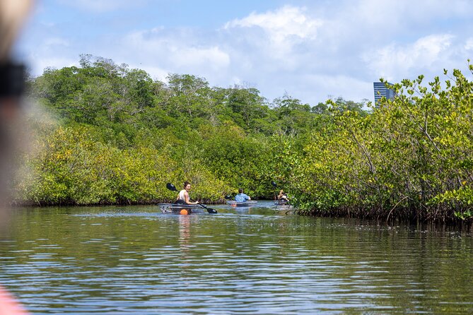 Clear Kayak Tour in North Miami Beach - Mangrove Tunnels - What the $73 price really covers