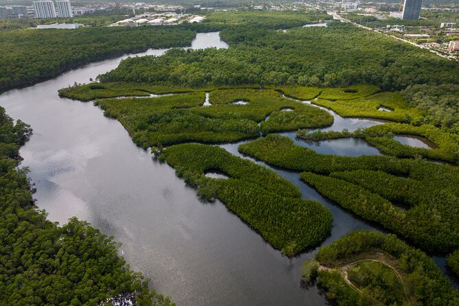 Clear Kayak Tour in North Miami Beach - Mangrove Tunnels - A good family and couple activity