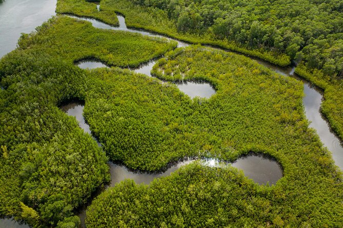 Clear Kayak Tour in North Miami Beach - Mangrove Tunnels - Paddling into the mangrove tunnels