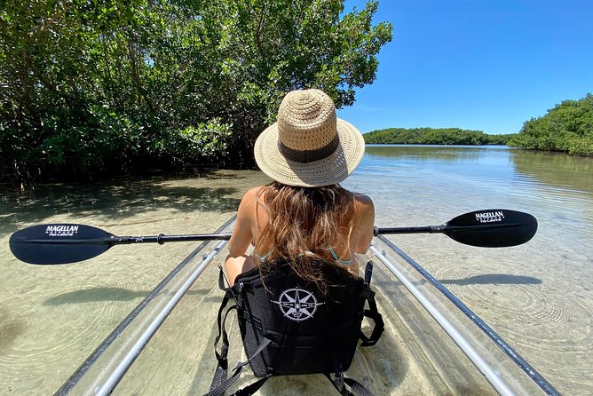 Clear Kayak Tour of Shell Key Preserve and Tampa Bay Area - Key points to know before booking