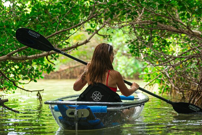 Clear Kayak Tour of Shell Key Preserve and Tampa Bay Area - Clear kayaks and the underwater view