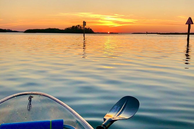 Clear Kayak Tour of Shell Key Preserve and Tampa Bay Area - Paddling among mangroves and through a tunnel