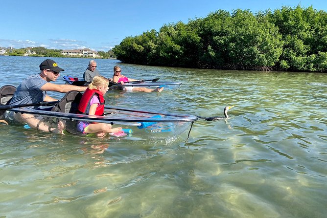 Clear Kayak Tour of Shell Key Preserve and Tampa Bay Area - Wildlife to watch for in every season