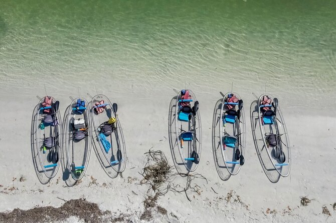 Clear Kayak Tour of Shell Key Preserve and Tampa Bay Area - How hard is the paddling?