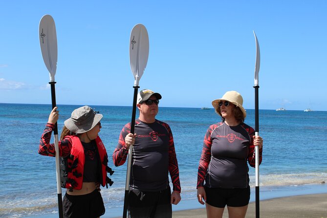 Clear Kayak Tour with Pontoons and Optional Snorkeling-Unlimited - The honest wildlife trade-off