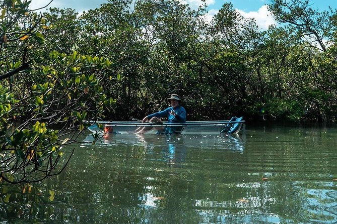 Clear Kayak Tours in Fort Pierce - Stops for water, wildlife, and photographs