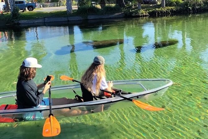 Clear Kayak Tours in Weeki Wachee - Key points to know before you paddle