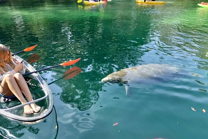 Clear Kayak Tours in Weeki Wachee - The paddling effort and river conditions