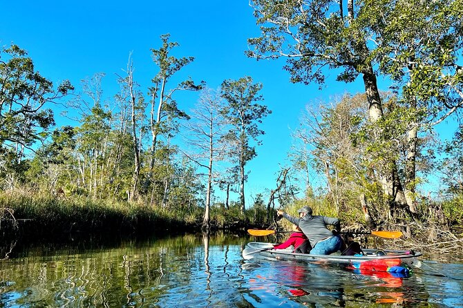 Clear Kayak Tours in Weeki Wachee - Crowds, homes, and the less wild side of the river