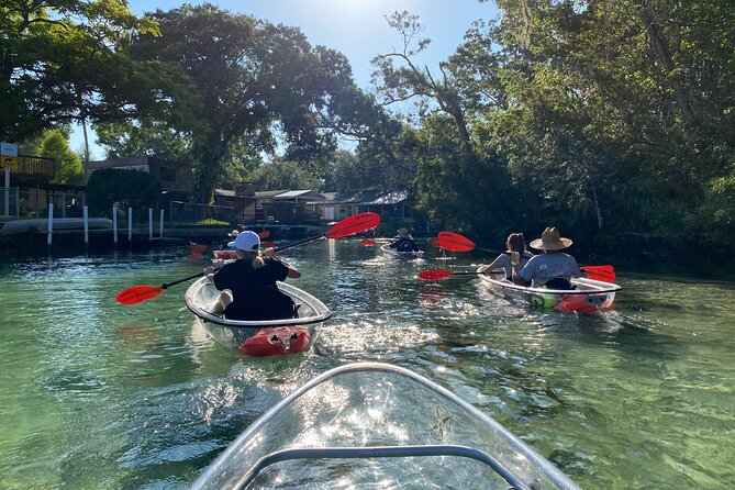Clear Kayak Tours in Weeki Wachee - What the $79 price includes