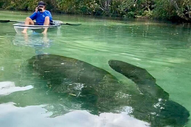 Clear Kayak Tours in Weeki Wachee - Who will enjoy this Weeki Wachee trip