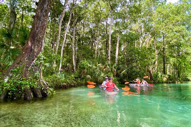 Clear Kayak Tours in Weeki Wachee - Wildlife watching with Davis, Jody, Vinny, and the team