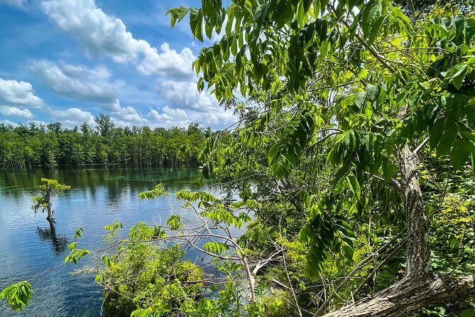 Clear Kayaking Eco Adventure Tour in Marianna - Meeting your guide in Marianna