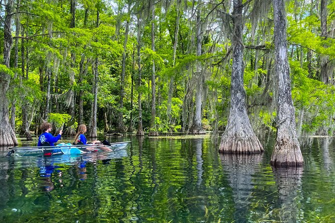 Clear Kayaking Eco Adventure Tour in Marianna - Swimming in the springs