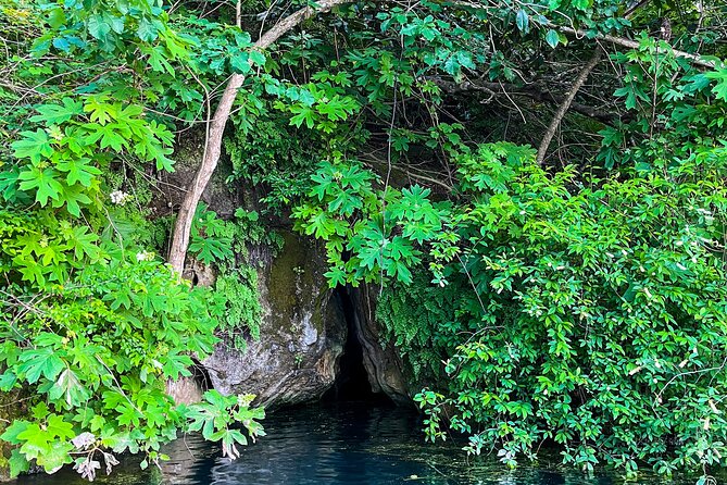 Clear Kayaking Eco Adventure Tour in Marianna - What the two-hour paddle is like
