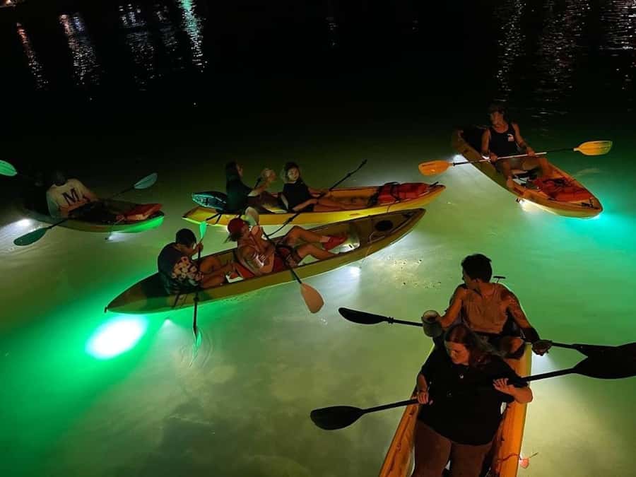 Clearwater Beach: Glass Bottom LED Kayak Night Tour - Key points to know before you book