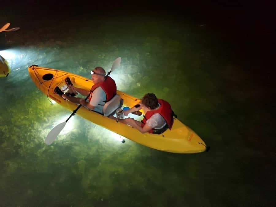 Clearwater Beach: Glass Bottom LED Kayak Night Tour - What this Clearwater night paddle is really like