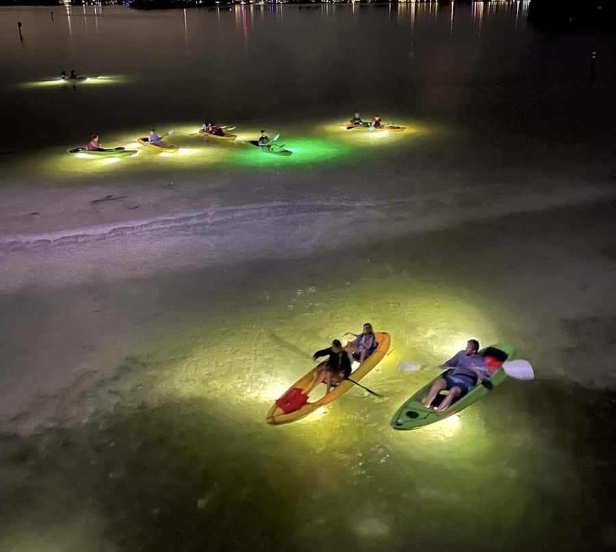 Clearwater Beach: Glass Bottom LED Kayak Night Tour - The glass bottom and LED view