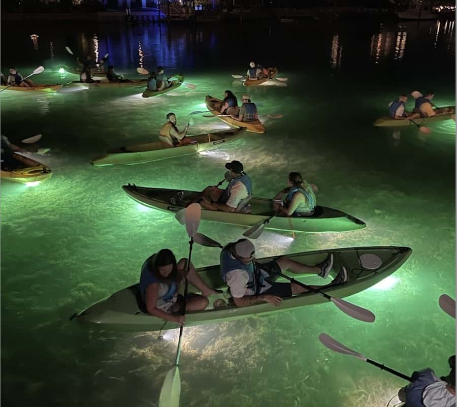 Clearwater Beach: Glass Bottom LED Kayak Night Tour - Mangrove shorelines and the first wildlife search