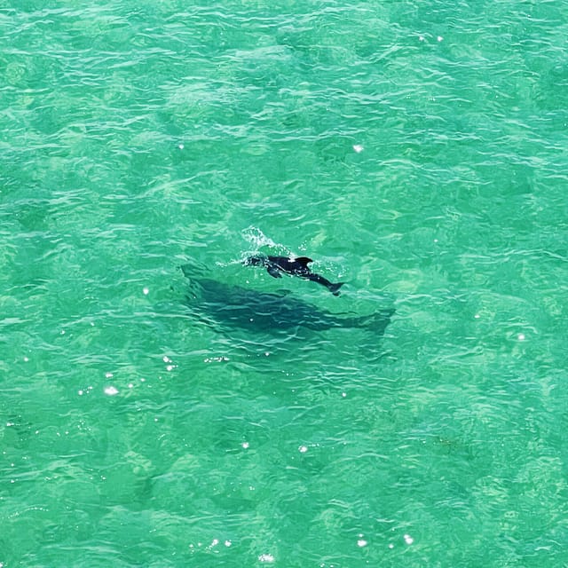 Clearwater: Guided Clear Kayaking Tour - What the Clearwater clear kayak tour is really like