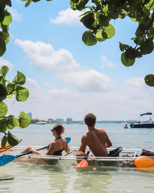 Clearwater: Guided Clear Kayaking Tour - Looking for dolphins and manatees
