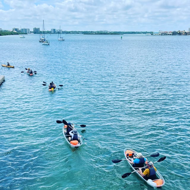 Clearwater: Guided Clear Kayaking Tour - What the guide adds