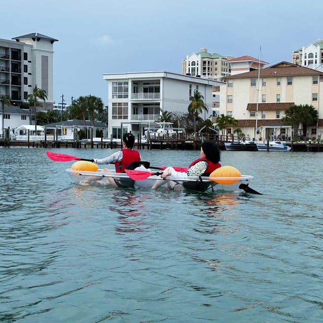 Clearwater: Guided Clear Kayaking Tour - Is $74 a fair price?