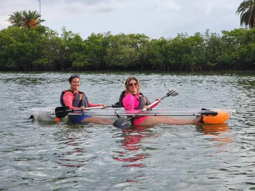 Clearwater: Guided Clear Kayaking Tour - Practical tips for a smoother trip