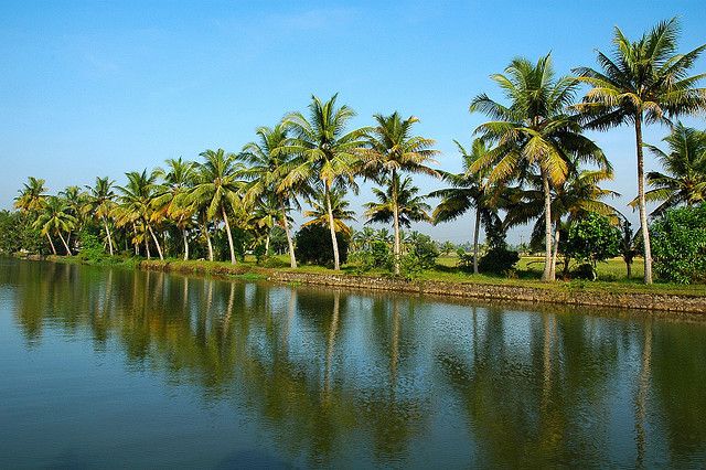 Cochin : Alleppey/Alappuzha Backwater Canoe (Shikara) Cruise - Key points at a glance