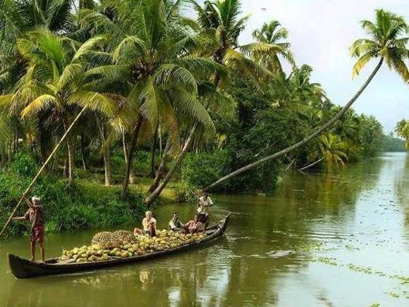 Cochin : Alleppey/Alappuzha Backwater Canoe (Shikara) Cruise - Boarding the boat around 10:30 am