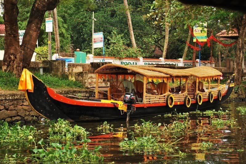 Cochin : Alleppey/Alappuzha Backwater Canoe (Shikara) Cruise - Paddy fields, coconut palms, and ordinary village life