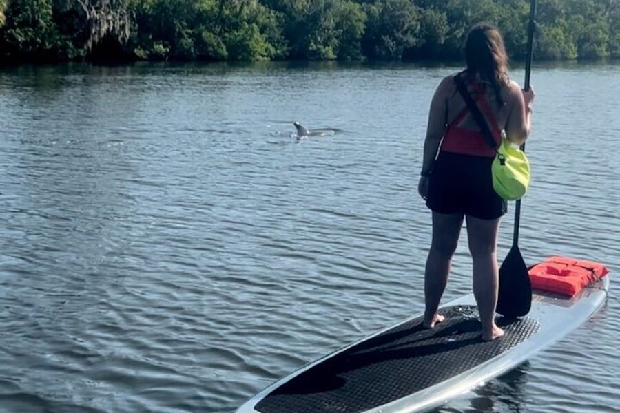 Cocoa Beach: Dolphin and Manatee Kayak or Paddle Tour - Watching for dolphins and manatees