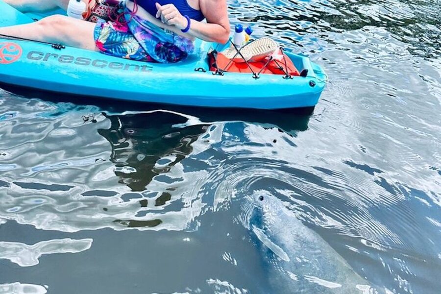 Cocoa Beach: Dolphin and Manatee Kayak or Paddle Tour - What the guide adds to the two-hour route