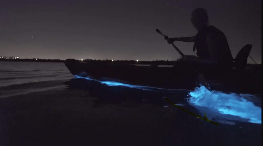 Cocoa Beach/Merritt Island:Bioluminescent kayak tour - Key things to know before you paddle
