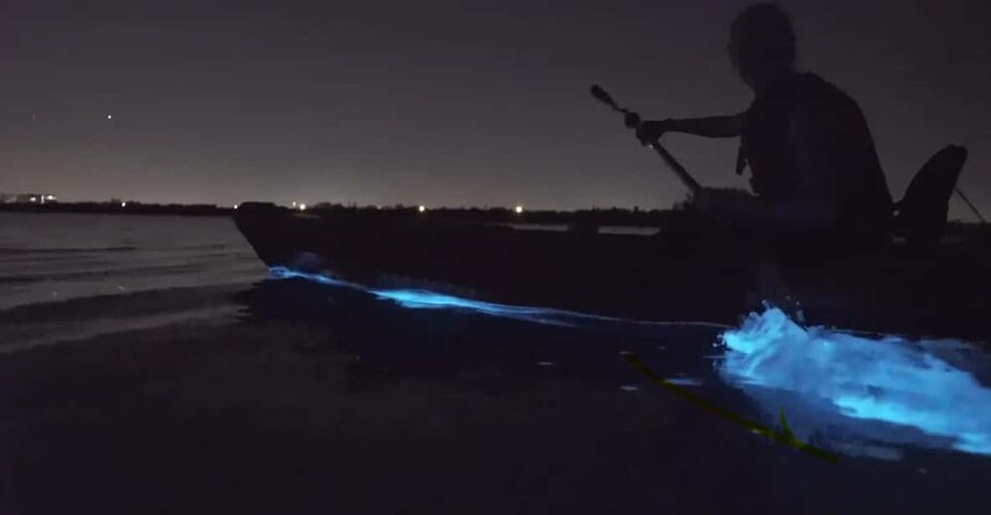 Cocoa Beach/Merritt Island:Bioluminescent kayak tour - Paddling into the Indian River Lagoon