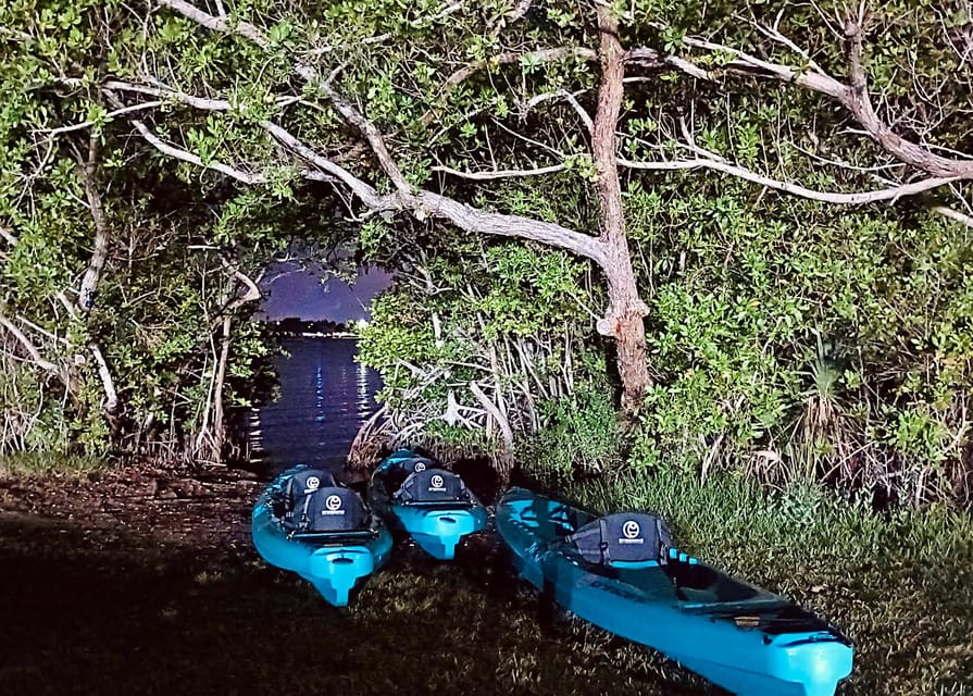 Cocoa Beach/Merritt Island:Bioluminescent kayak tour - Practical packing advice for a better outing